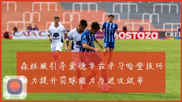 森林狼引导爱德华兹学习哈登技巧助力提升罚球能力与进攻效率