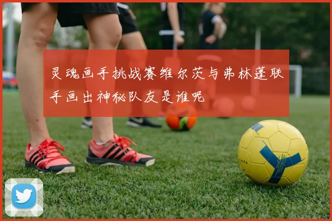 灵魂画手挑战赛维尔茨与弗林蓬联手画出神秘队友是谁呢