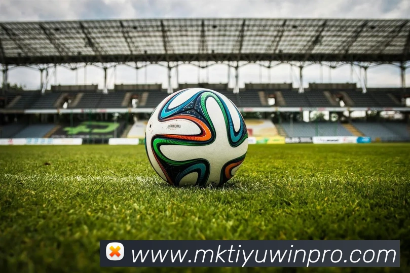 App Interface Preview