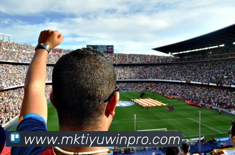 MK体育APP 封面图