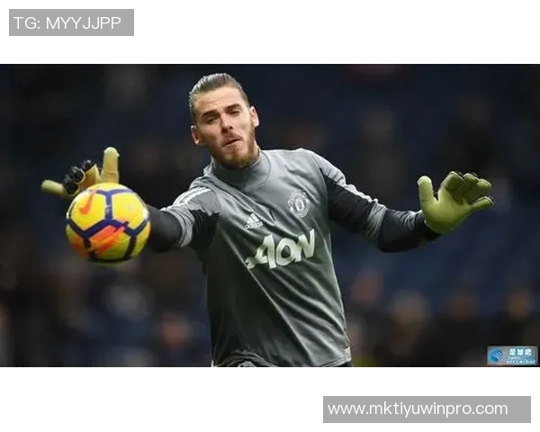 卡勒姆威尔逊谈绝杀事件认为门将保护过度强调身体接触的重要性 卡勒姆威尔逊谈绝杀事件认为门将保护过度强调身体接触的重要性